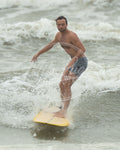 PIC 2599